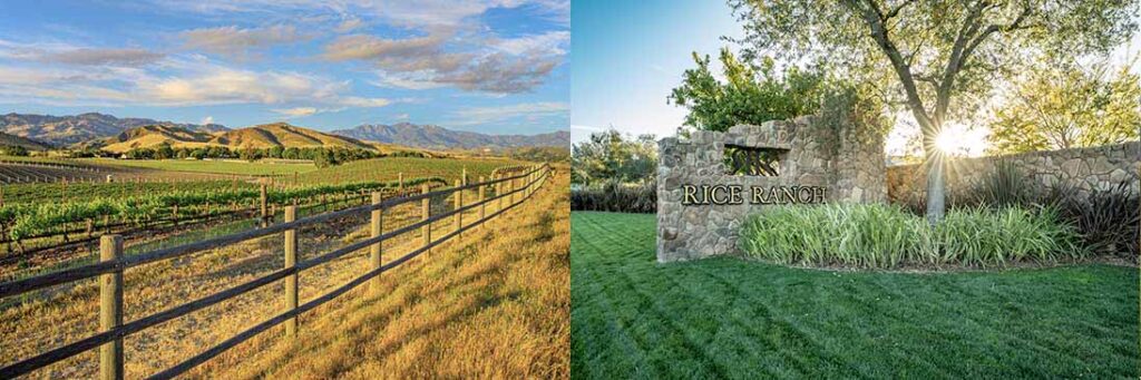 Outdoor Living at the Meadows and the Groves at Rice Ranch