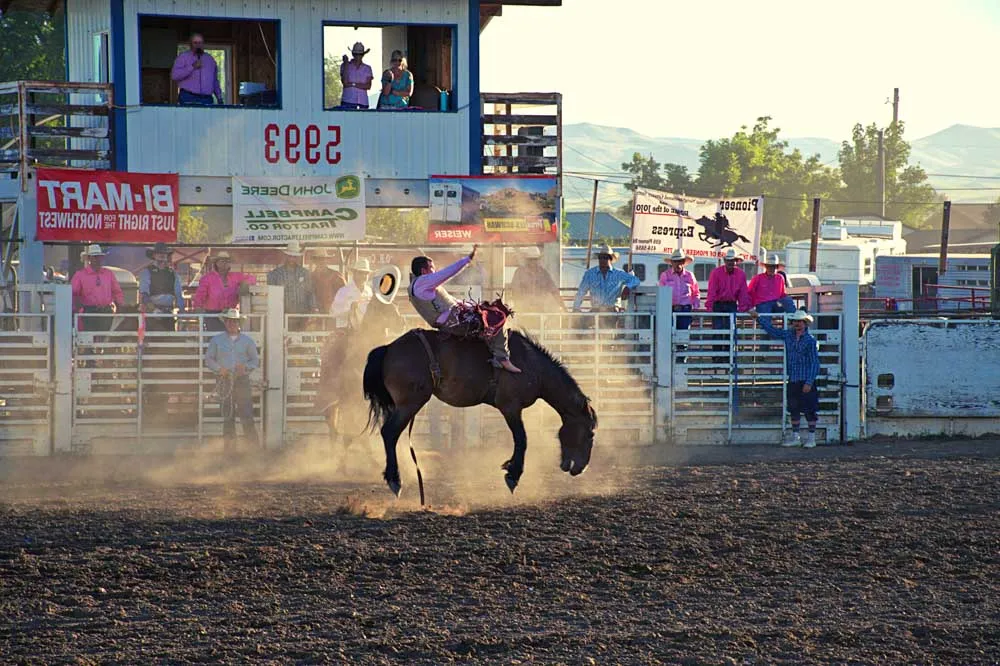 Cowboy Up at Santa Maria Elks Rodeo Rice Ranch